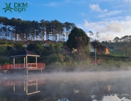 Đạ Sar - mảnh đất được ưu ái bởi thiên nhiên
