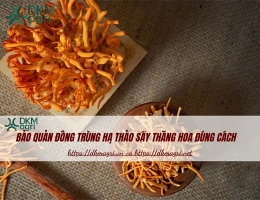 Bảo quản Đông trùng hạ thảo sấy thăng hoa đúng cách