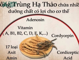 [Giải đáp] Có nên sử dụng Đông trùng hạ thảo thường xuyên không?