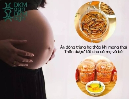 Sử dụng Đông trùng hạ thảo cho bà bầu - Nên hay không nên?