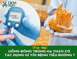 Tư vấn Đông trùng hạ thảo cho người tiểu đường