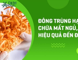 Đông trùng hạ thảo chữa mất ngủ - Đúng hay sai?