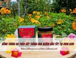 Đông trùng hạ thảo ngâm dâu tây hũ 100ml tại Dkm Agri