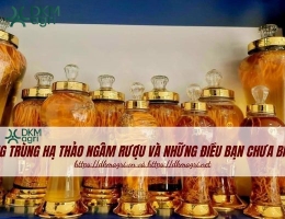 Đông trùng hạ thảo ngâm rượu và những điều bạn chưa biết