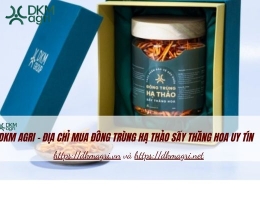 Dkm Agri - Địa chỉ mua Đông trùng hạ thảo sấy thăng hoa uy tín