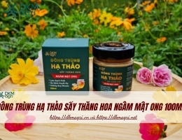 Đông trùng hạ thảo sấy thăng hoa ngâm mật ong