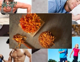 Tìm hiểu công dụng của Đông trùng hạ thảo với nam giới