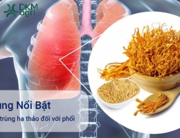 Những công dụng tuyệt vời của Đông trùng hạ thảo với phổi