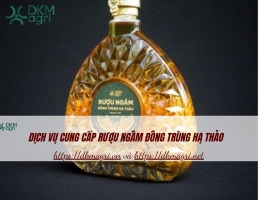 Dịch vụ cung cấp rượu ngâm Đông trùng hạ thảo