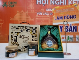 Rượu sâm ngọc linh 500ml phù hợp với đối tượng sử dụng nào?