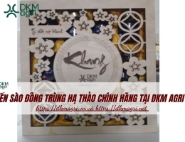 Yến sào Đông trùng hạ thảo chính hãng tại Akm Agri