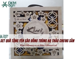 Set quà tặng Yến sào Đông trùng hạ thảo chưng sẵn