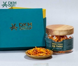 Đông trùng hạ thảo sấy thăng hoa 15g