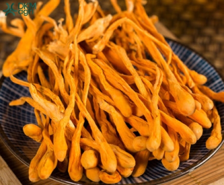 Đông Trùng Hạ Thảo Sấy Thăng Hoa